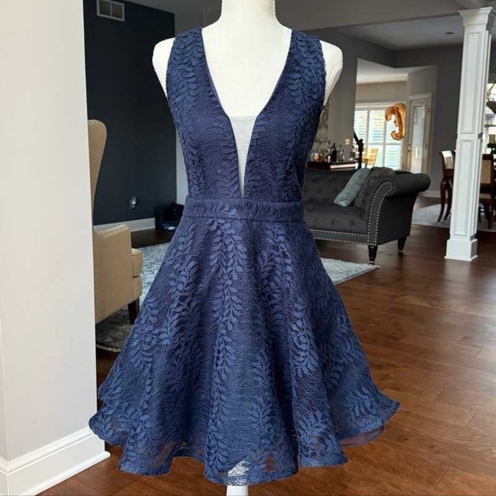 Windsor Sleeveless Navy Lace Fit & Flare Dress